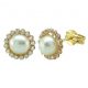 Pendientes orla circonitas y perla oro 18k